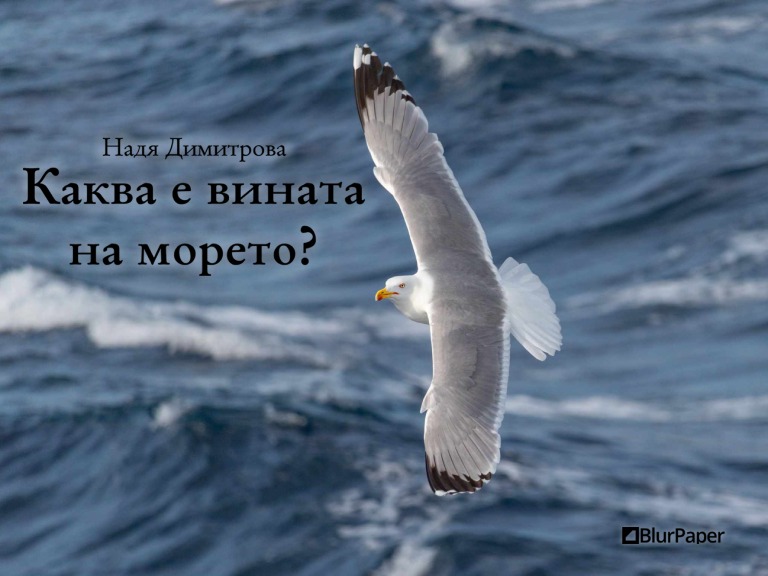 Каква е вината на морето - Гларус през лятото в полет над Черно море