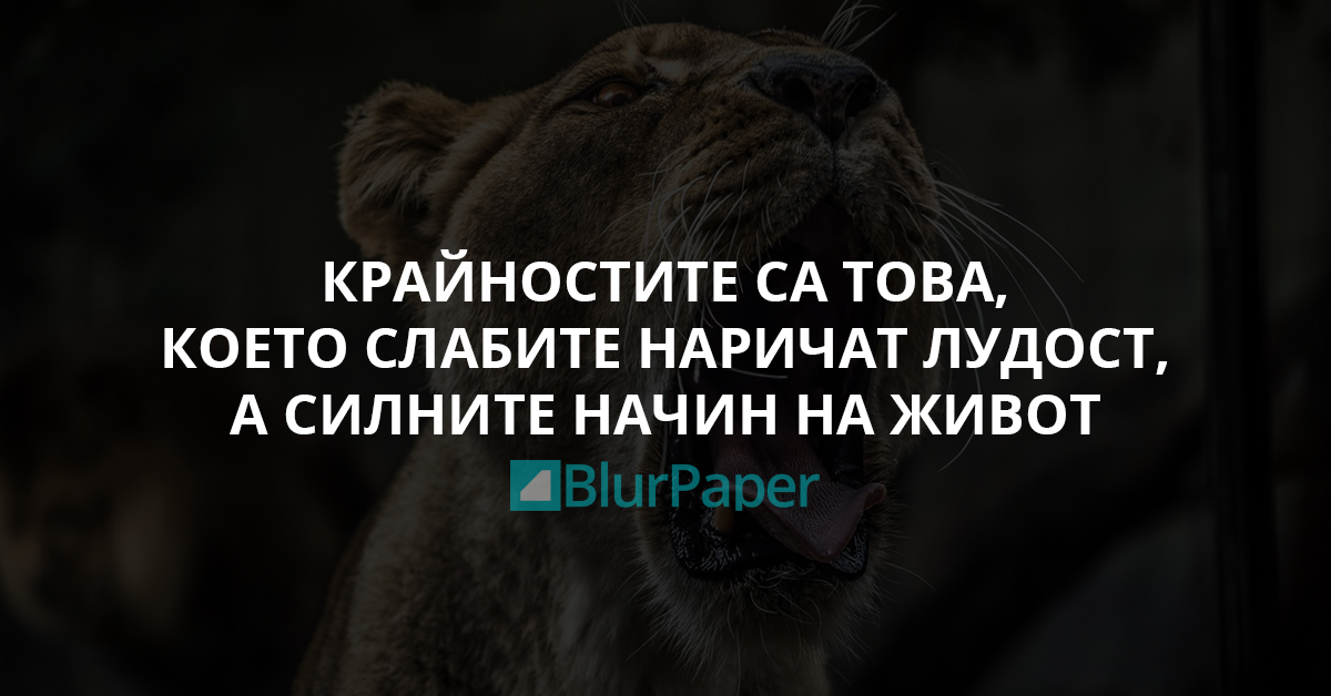 Крайностите са това, което слабите наричат лудост, а силните начин на живот